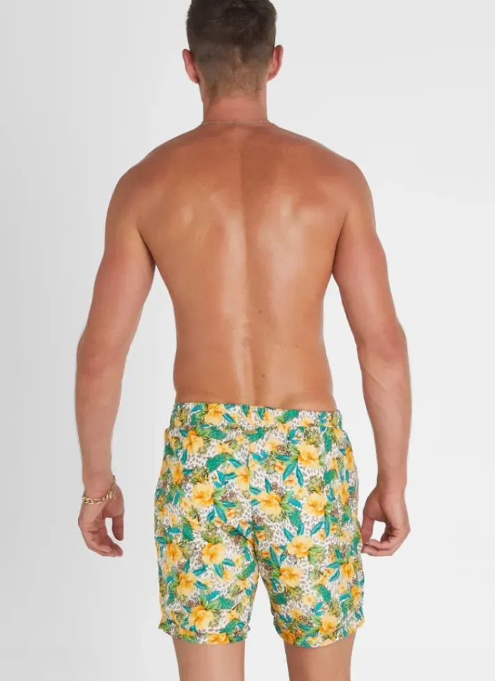 Women Aqua Blu Dahlia Taylor Shorts