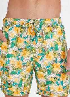 Women Aqua Blu Dahlia Taylor Shorts