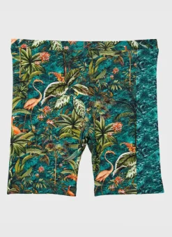 Kids/BOY Aqua Blu Jammers