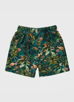 Kids/BOY Aqua Blu Lycra Boardshorts