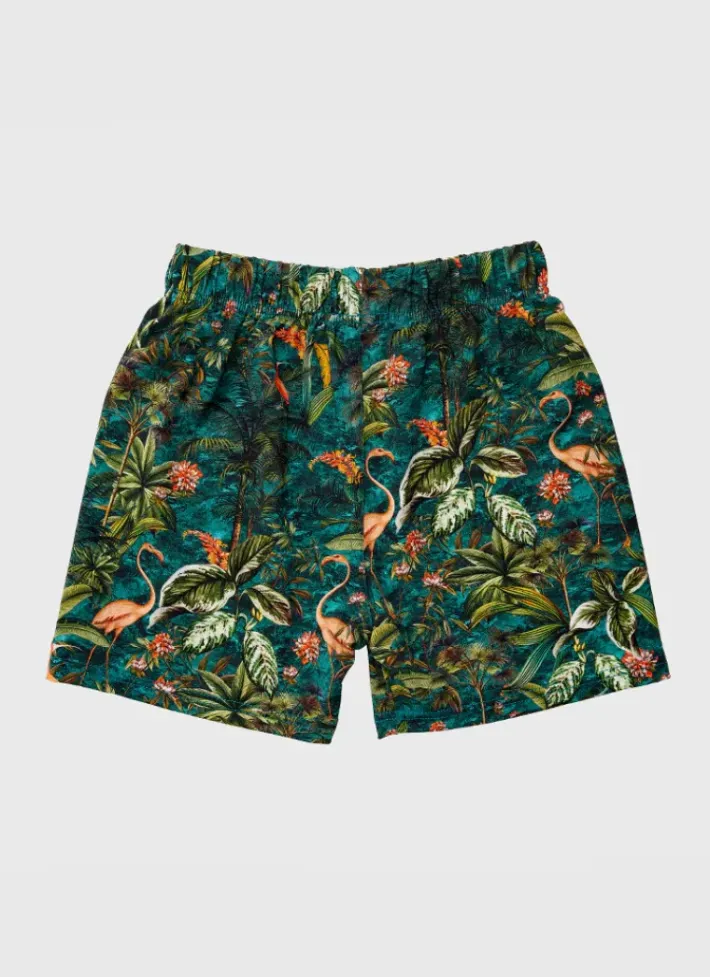 Kids/BOY Aqua Blu Lycra Boardshorts