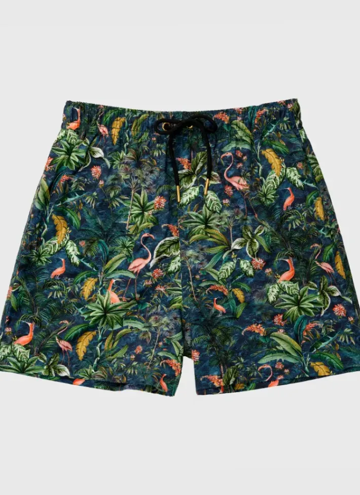 Kids/BOY Aqua Blu Running Shorts