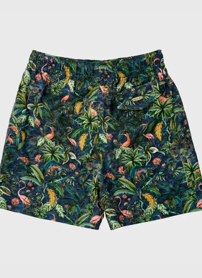 Kids/BOY Aqua Blu Running Shorts