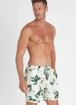Women Aqua Blu Lily Taylor Shorts
