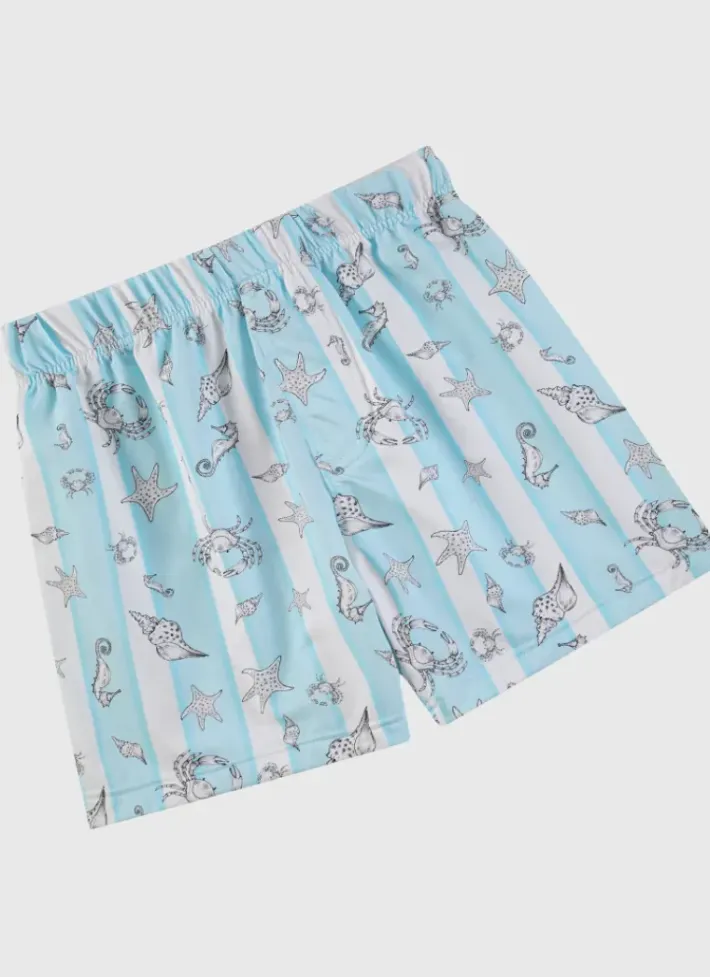 Kids/BOY Aqua Blu Lycra Boardshorts