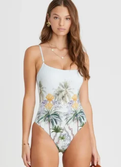 Women Aqua Blu Gabrielle DD/E One Piece