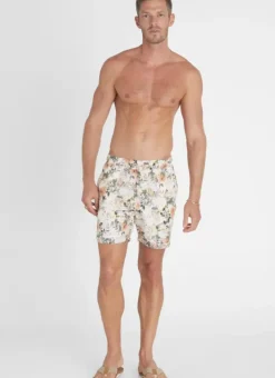 Women Aqua Blu Vervain Taylor Shorts